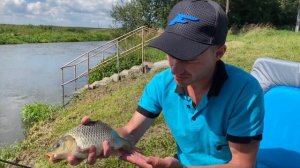 Рыбалка на фидер! Дикий карп на реке Свислочь. Тактика закорма. Как ловить карпа на реке?