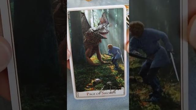 Обзор колоды карт Таро Алисы (Alice Tarot) Baba Studio.