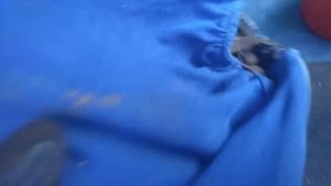 Что в багажнике ваз2106 за 15тысяч рублей ?