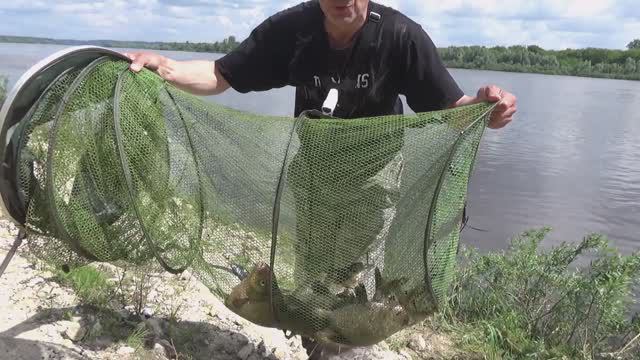 Каша на Леща за 100 руб.! Колокольчик на Донку! Рыбалка на Леща на Оке!