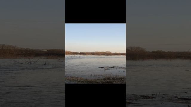 Самарская  Область Отрадный 2024. потоп.
