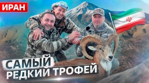 Трофейная охота в Иране 5. Красный баран (2024) [4K]