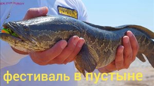 Рыболовный фестиваль в пустыне . ( Fishing festival )