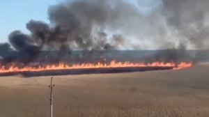 Пожар,горит болото))