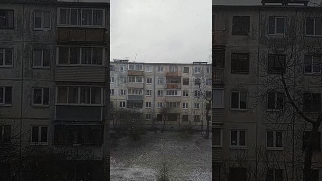 Spring vs Winter