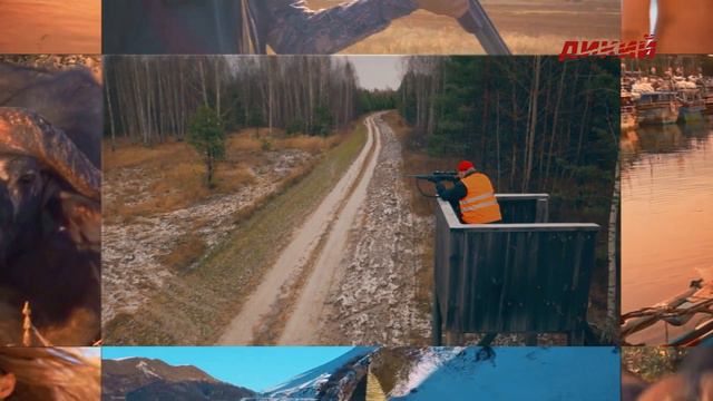 Мобильное приложение ДИКОЕ ТВ. Смотрите из любой точки мира! смотреть онлайн