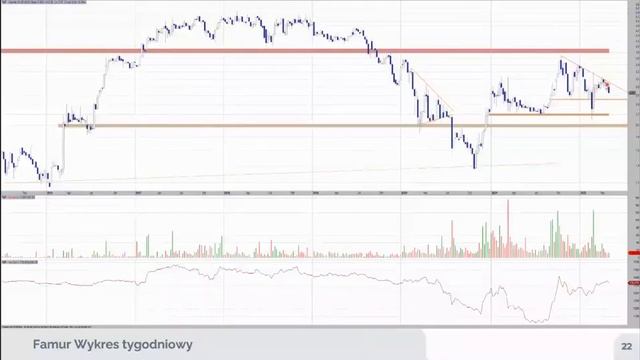 Najbardziej perspektywiczne polskie spółki 2022 cz.2 смотреть онлайн