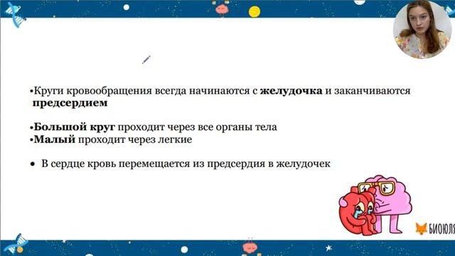 Кровеносная система. Круги кровообращения