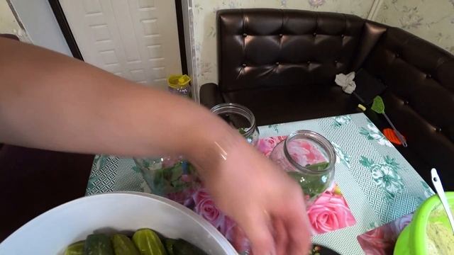 Засолка бочковых огурцов