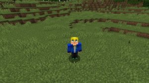 ЗАМЕНИ СКИН В МАЙНКРАФТ | ОБЗОР МОДА MINECRAFT DisguiseHeads