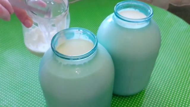 Как легко собрать сливки с молока?