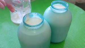Как легко собрать сливки с молока?