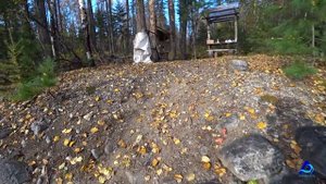 Река Онот. Вторая поездка. Поднимаемся еще выше. Солар 420 "стрела" плюс Mercury 25 jet.