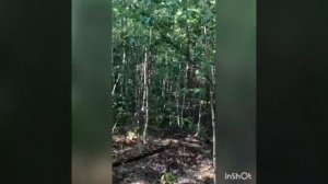 Посёлок Зенковка