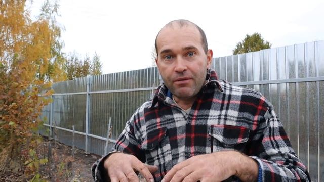 КАК ВЫСАЖИВАТЬ ОСЕНЬЮ. Пример на лаванде.