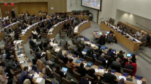 В ООН большинство стран поддержали российскую резолюцию по борьбе с героизацией нацизма