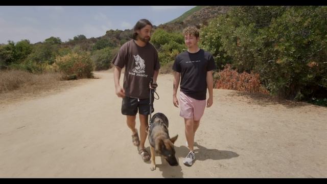 Noah Kahan Can't Stop Writing Songs About Dogs | WeWalkDogs смотреть онлайн