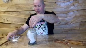 Как сделать чубуки (черенки) для выращивания винограда