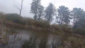 Ловля окуня и красноперки осенью на микроджиг и наноджиг