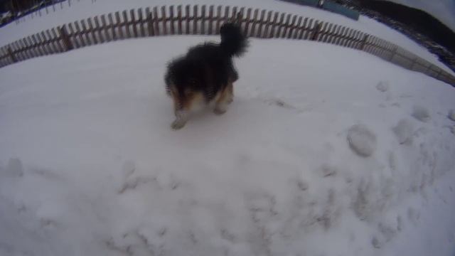 Командировка на север. Братск-Усть-Илимск. п. Седаново. Распутица. смотреть онлайн