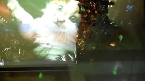 Зеркальный Человек