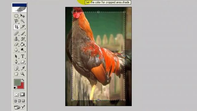 ADOBE Photoshop CS - Training Videos смотреть онлайн