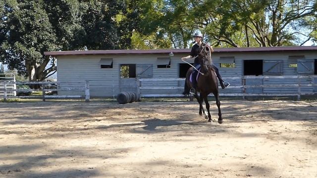 Nancy & Summer First Attempt at L1 No Contact Riding смотреть онлайн