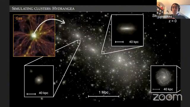 From satellites to the intra-cluster light: the transformation of cluster galaxies смотреть онлайн
