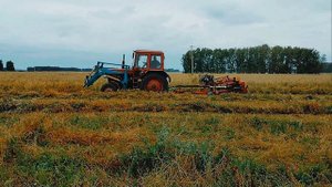 жатки ЖВН и ЖВП какая лучше, валют горох на свал в волки, комбайн Енисей и МТЗ 82