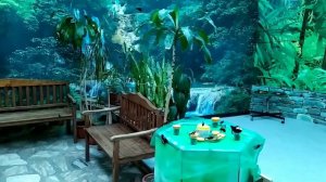 Дом бабочек "Восторг" .   Butterfly house "Delight".