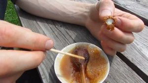 Маточное молочко. Основы