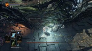 Dark Souls III - Босс Проклятое Дерево за МАГА