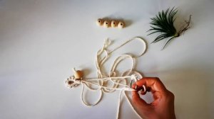 DIY Macrame Air plant hanger