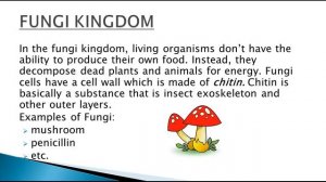 Science Tutorials: 5 Kingdoms of Living Things