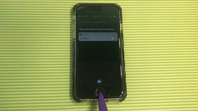 Passcode Bypass iOS 12 (1-Call)