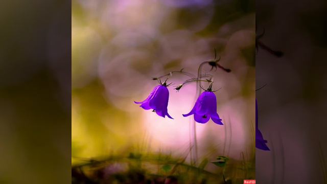 Золотые улетные хиты лучших исполнителей о любви ❤️ смотреть онлайн