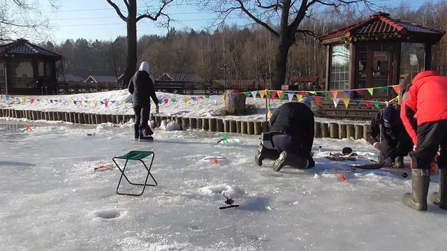 Ловим форель на Ратлины, поставушки,Сига ловим на мотыля