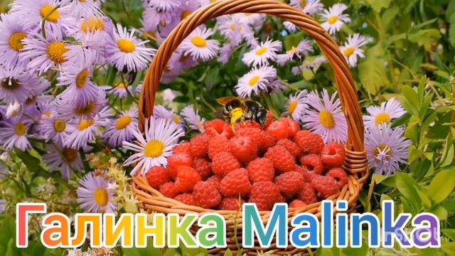 Колесниковы /Потерялись ночью /Жесть /Обзор Влогов /7-Я Колесниковы /Деревенский дневник / смотреть онлайн