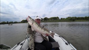 КРАЙНИЙ ДЕНЬ НАШЕЙ РЫБАЛКИ НА РЫБОЛОВНОЙ БАЗЕ СЕРПУХОВСКАЯ. ПОПЫТКА ПОЙМАТЬ САЗАНА))