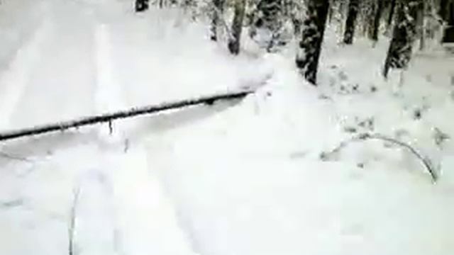 преследовали снежного человека по тайге смотреть онлайн