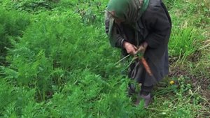 Агафья Лыкова в 1978 году  Как их нашли геологи