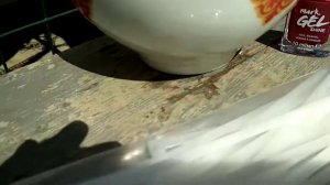 Посмотри, как плачет виноградная лоза#сад#огород#лечениевинограда#help#слеза#своимируками#совет#лоз