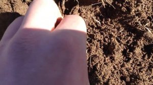 Поиск монет на месте бывшей деревни