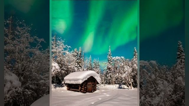 #25февраля - Алексеев день. По #традиции в этот день ставили #блюдаизрыбы.