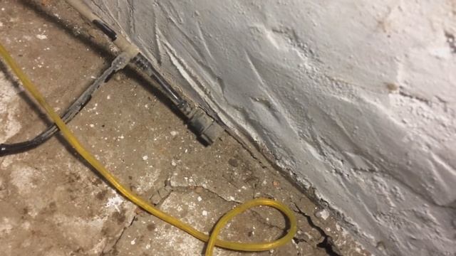 РДТ Черри Тигго