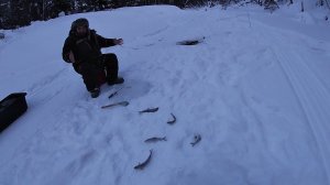 МАРТОВСКАЯ РЫБАЛКА НА ХАРИУСА \ ВСТРЕЧА РЫБОЛОВНЫХ КАНАЛОВ \ Часть 1 \ ЗАЕЗД