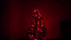 TONACAR  JAN  TONACAR