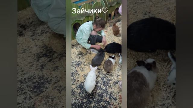 ПОЕХАЛА В КОНТАКТНЫЙ ЗООПАРК/ СМОТРИ ДО КОНЦА, И ПОДНИМИ СЕБЕ НАСТРОЕНИЕ;) смотреть онлайн