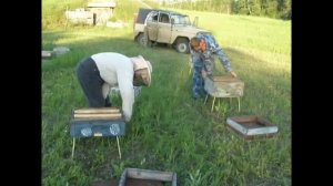 Как заселить нуклеусы 1.Одбор пчёл для нуклеусов 2. Заселение нуклеусов 3. Подсадка маток