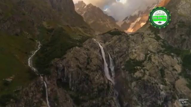 Кошка в исламе смотреть онлайн